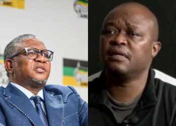 Brown Mogotsi Opens Up On Fikile Mbalula’s Alleged Political Moves Against Senzo Mchunu