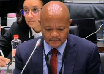 Mchunu Says Ramaphosa Personally Appointed Him To Oversee KZN Political Killings Task Team