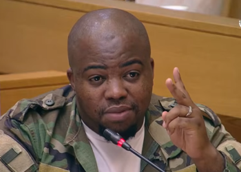 MK Party MP Sibonelo Nomvalo bluntly questioned whether SA really needs two Deputy Police Ministers