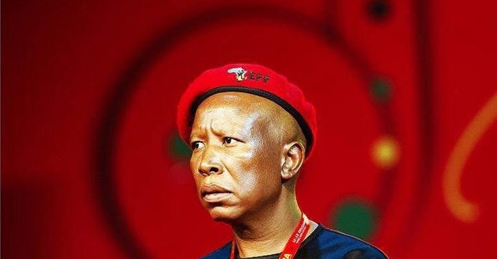 Julius Malema Admits In Court That He Fired Real Gun During His Trial, Says White Man Was Innocent
