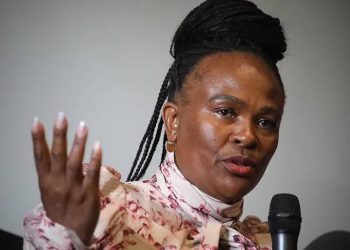 MKP Mpumalanga Secretary Denies Threatening Mkhwebane