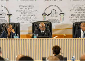 Madlanga Commission to Rule on Secret Testimony for Confidential Witness