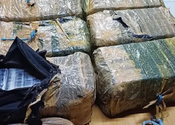 Senzo Mchunu’s Report Uncovers Powerful Nigerian Drug Mafias Operating in South Africa