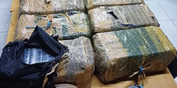 Senzo Mchunu’s Report Uncovers Powerful Nigerian Drug Mafias Operating in South Africa