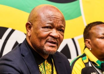 Minister Mchunu Denies Any Links to Alleged Crime Figure