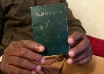 South Africa Extends Zimbabwean Exemption Permit to 2027 for 178,000 Holders