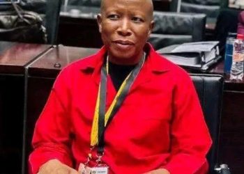 Malema Hijacks Parliament Chaos Erupts as EFF Leader Turns Ad Hoc Committee Into His Stage