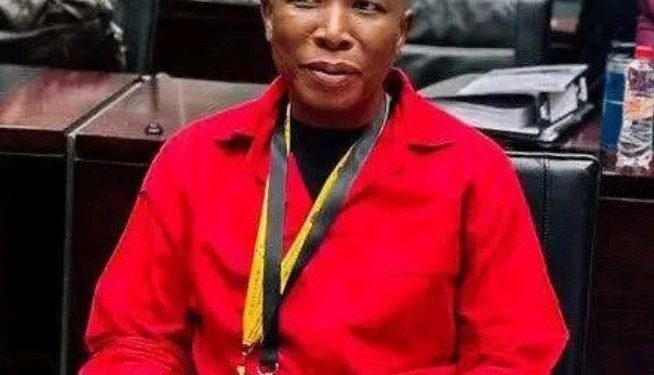 Malema Hijacks Parliament Chaos Erupts as EFF Leader Turns Ad Hoc Committee Into His Stage