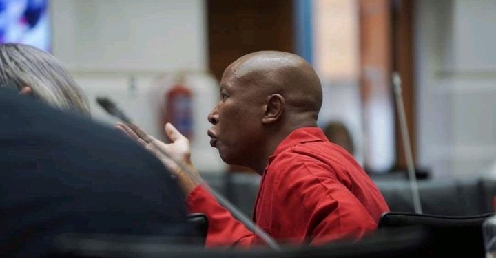 Malema in Parliament: Matlala Must Testify — But Spy General Not Welcome
