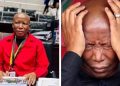 Julius Malema’s Name Dropped At Madlanga Commission as Witness Links Him To Top SAPS General, Check