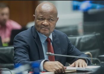 Inside Senzo Mchunu’s Controversial Letter — Why Police Say It Threatened Key Investigations