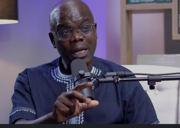 Mashele Blasts ANC: ‘Senzo Mchunu in the Pockets of Criminals – SA Officially a Mafia State’