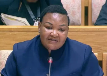 Deputy Minister Paulina Boshielo Broke Silence On Disbandment Of Political Killings Task Team