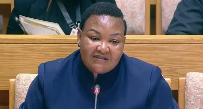 Deputy Minister Paulina Boshielo Broke Silence On Disbandment Of Political Killings Task Team