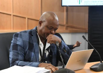 Businessman Brown Mogotsi Makes Unverified Claims at Corruption Inquiry