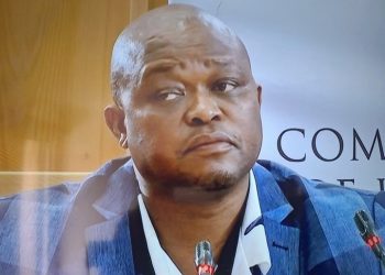 Brown Mogotsi Finally Reveals The Truth Why Cat Matlala Truly Met With Lt Mkhwanazi In Durban