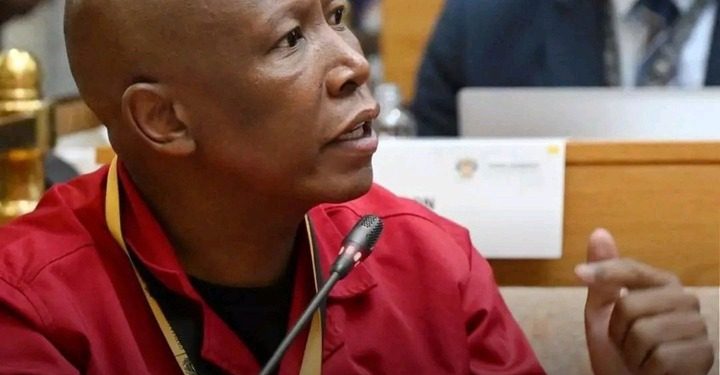 Julius Malema slams Donald Trump’s politics