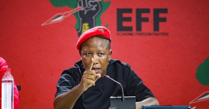 HOT: EFF Leader Julius Malema Clashes with PA MP Ashley Sauls in Heated Parliamentary Exchange