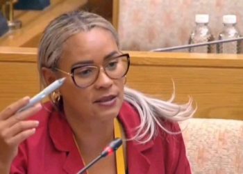 Chaos In The Chamber: Diko And Mathys Lock Horns Over ‘Shielding Corrupt Police Generals