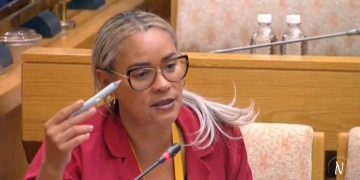 Chaos In The Chamber: Diko And Mathys Lock Horns Over ‘Shielding Corrupt Police Generals