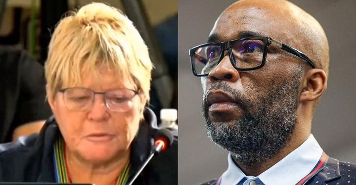 “How Did You Manage To Get A Security Company Registered With Your Criminal Conviction”- Breytenbach