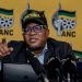 ANC’s Fikile Mbalula Calls Out Government Over Poor Communication on Palestinian Refugees