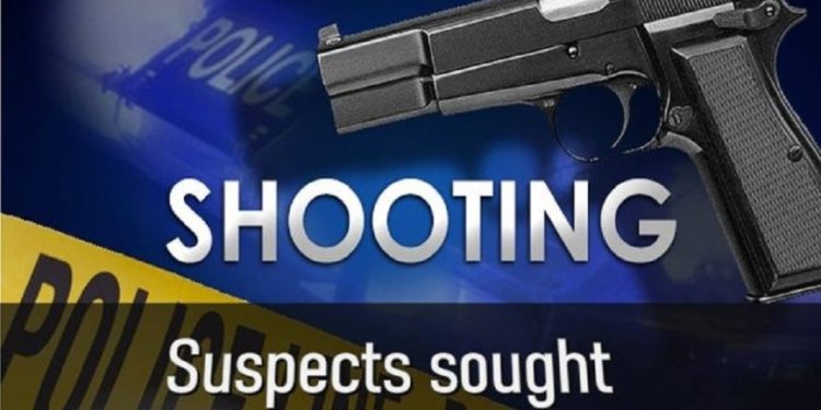 Police Launch Manhunt After Drive-by Shooting in Reiger Park Leaves Six Dead