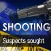 Police Launch Manhunt After Drive-by Shooting in Reiger Park Leaves Six Dead