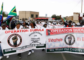 Why Embarrass Us Like This: Dudula’s G20 Blunder Sparks Uproar