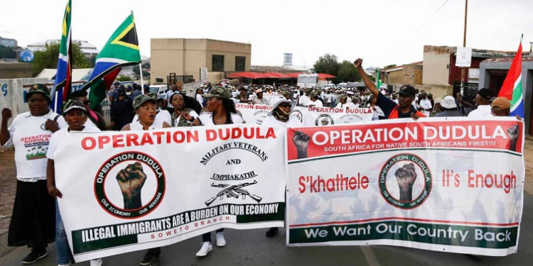 Why Embarrass Us Like This: Dudula’s G20 Blunder Sparks Uproar