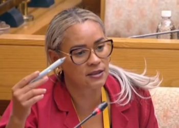 Chaos In The Chamber: Diko And Mathys Lock Horns Over ‘Shielding Corrupt Police Generals