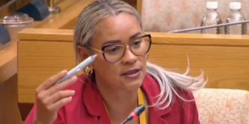 Chaos In The Chamber: Diko And Mathys Lock Horns Over ‘Shielding Corrupt Police Generals