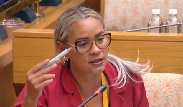 Chaos In The Chamber: Diko And Mathys Lock Horns Over ‘Shielding Corrupt Police Generals