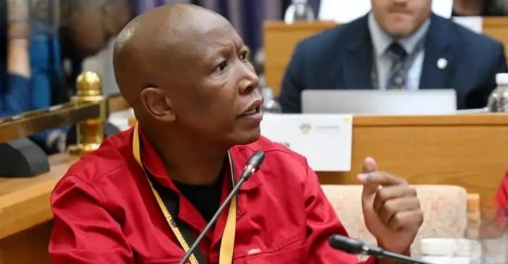 EFF’s Julius Malema Fires Back at Trump Over G20 Boycott, Slams AfriForum as Racist Enablers