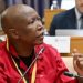 EFF’s Julius Malema Fires Back at Trump Over G20 Boycott, Slams AfriForum as Racist Enablers