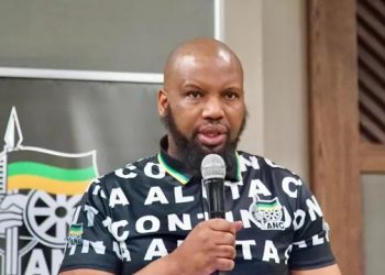 KZN ANC Urges Members to Avoid Treating Government Roles as Status Symbols