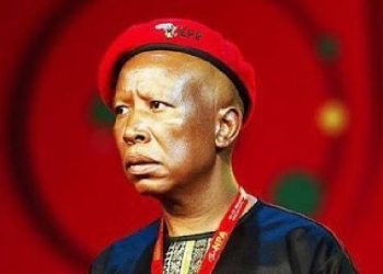 Calls Grow for Accountability Over Julius Malema’s Statements on Foreigners and Nuclear Deal