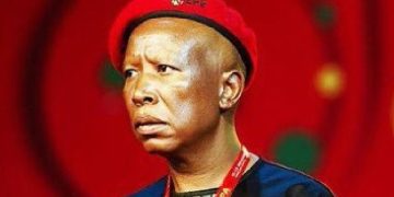 Calls Grow for Accountability Over Julius Malema’s Statements on Foreigners and Nuclear Deal