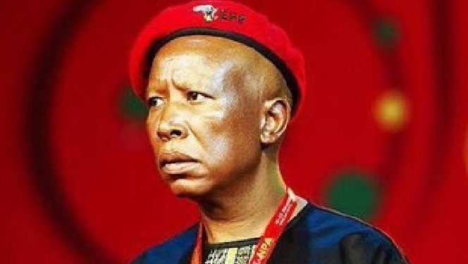 Calls Grow for Accountability Over Julius Malema’s Statements on Foreigners and Nuclear Deal