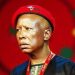 Calls Grow for Accountability Over Julius Malema’s Statements on Foreigners and Nuclear Deal