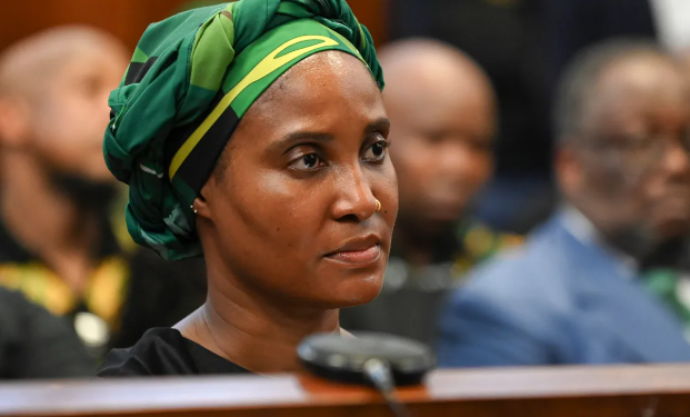 From Family to Foes: Zuma Household Rocked by Criminal Case Showdown