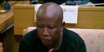 Parliament erupted into chaos after EFF leader Julius Malema Attacked Shamila Batohi