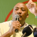 “I’m Not Leaving”: McKenzie Dismisses Critics, Affirms Loyalty to GNU and President Ramaphosa
