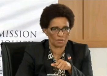 Adv Sello Can’t Help But Laughs As Mashazi Says She Can’t Remember Acting On Illegal Appointments