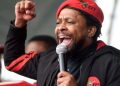 “The Zondo commission, should have been the Madlanga Commission Team” Says Mbuyiseni