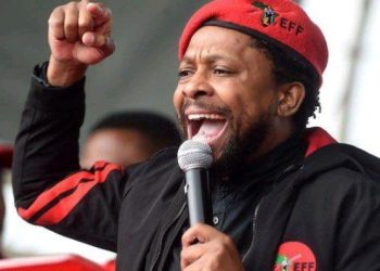 “The Zondo commission, should have been the Madlanga Commission Team” Says Mbuyiseni