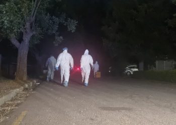 Witness D’s Death: Fannie Masemola to Meet with Justice Madlanga After Van der Merwe’s Death