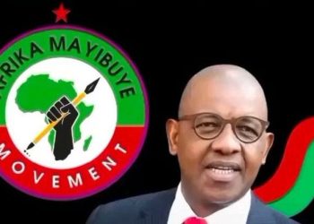 Dali Mpofu’s Alleged Association With Africa Mayibuye Stokvel Draws Mixed Reactions