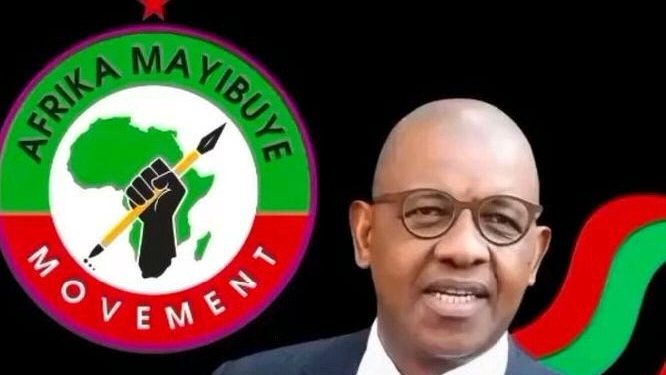 Dali Mpofu’s Alleged Association With Africa Mayibuye Stokvel Draws Mixed Reactions