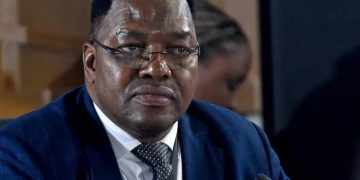 3 Suspect Links To Murder Of Madlanga Commission Secret Witness Has Been Identified, Gen. Fannie